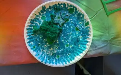 Find the Fish