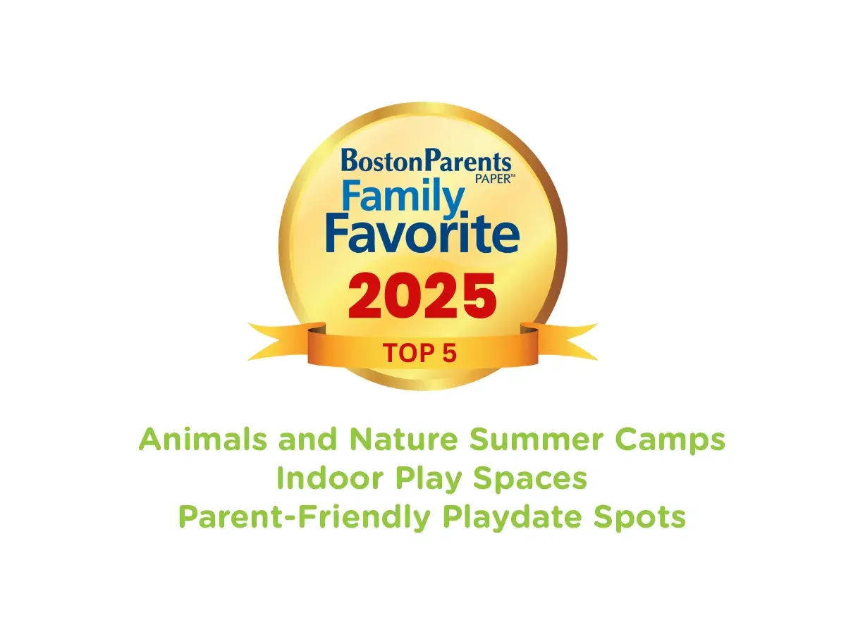 bostonparents25-top5