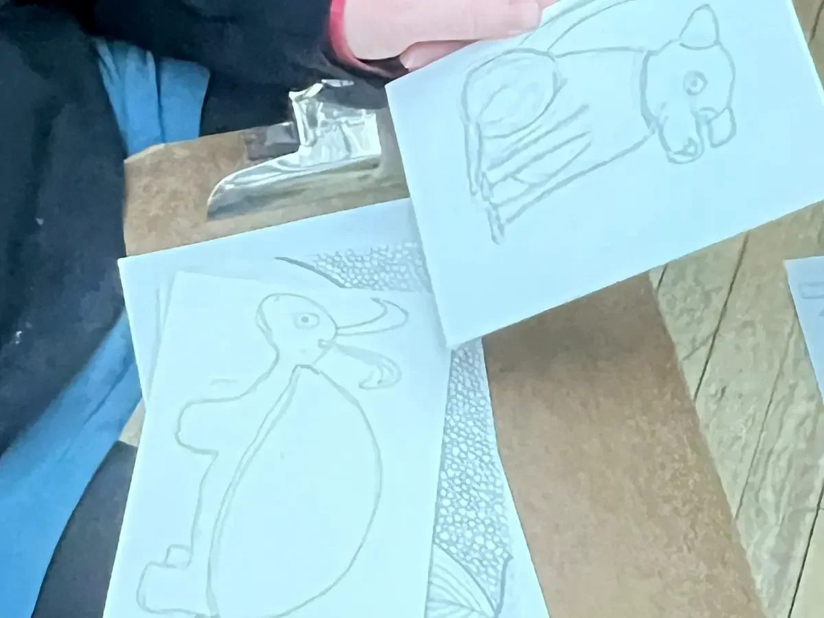 animaldrawing