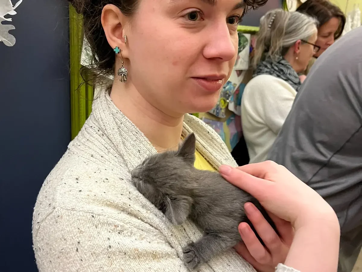kitten2