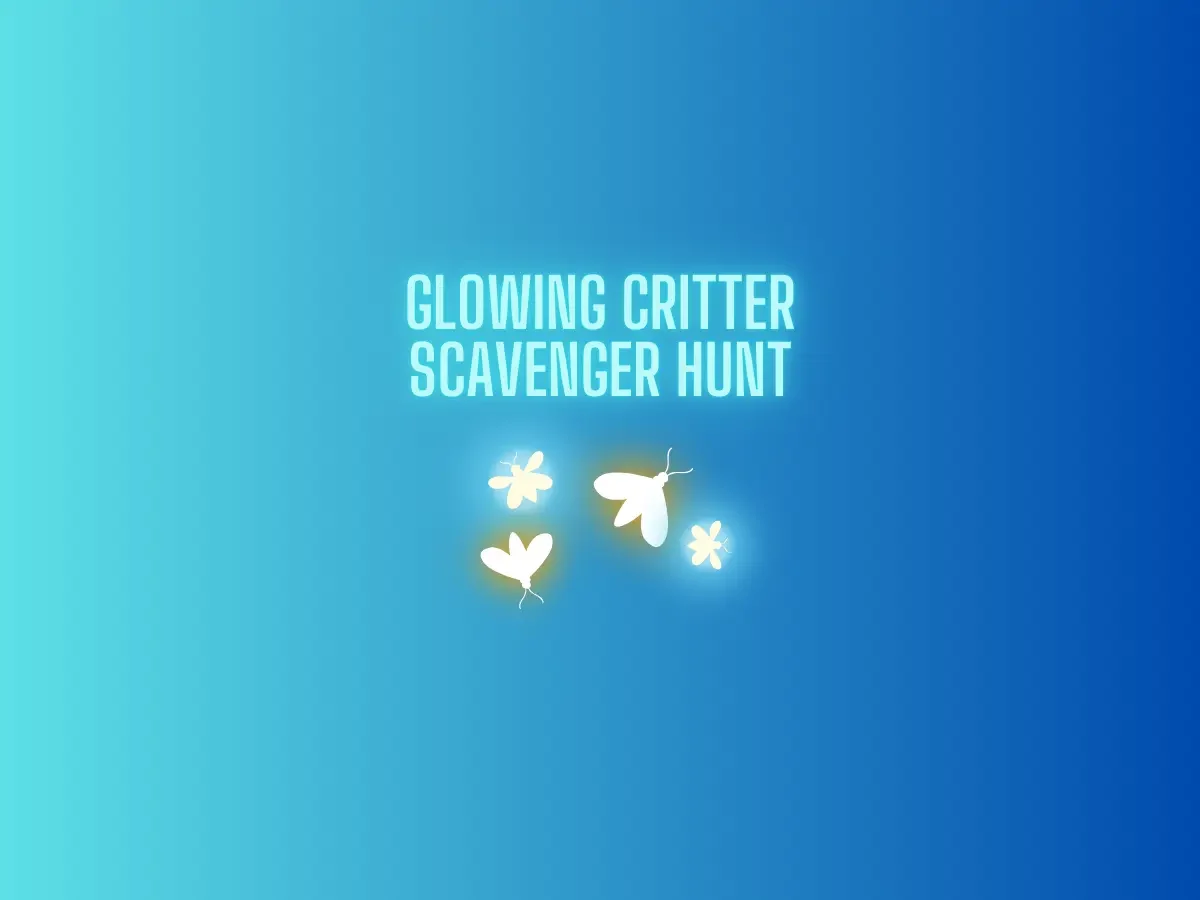 lightnight3