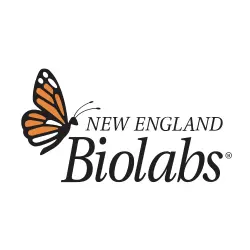 newenglandbiolabs-sq
